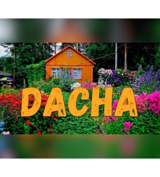 DACHA Steam Key GLOBAL